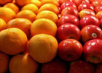 توزیع روزانه ۱۶ هزارتن میوه و صیفی در بازار
