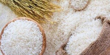 راهکار دستیابی به خودکفایی برنج چیست؟