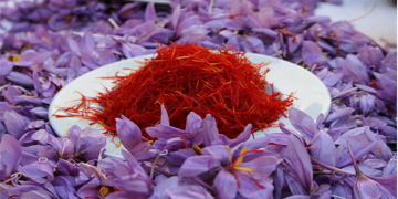 پتانسیل تولید ۸۰۰ تن زعفران در کشور وجود دارد