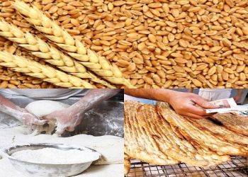 ذخایر آرد به اندازه کافی برای نانوایی‌ها موجود است
