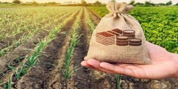 ۲۵۰ میلیارد تومان غرامت بیمه آبزیان پرداخت شد