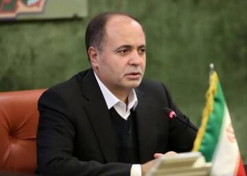 وزیر جهاد: ۵۰ درصد مطالبات گندمکاران به‌زودی پرداخت می‌شود