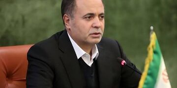 وزیر جهاد: ۵۰ درصد مطالبات گندمکاران به‌زودی پرداخت می‌شود