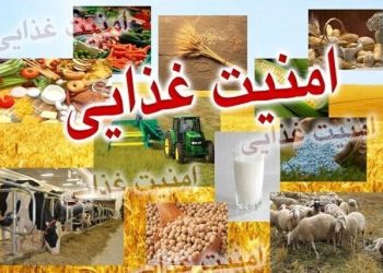 ۸۵ درصد محصولات کشاورزی در داخل تولید می‌شود