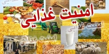 ۸۵ درصد محصولات کشاورزی در داخل تولید می‌شود