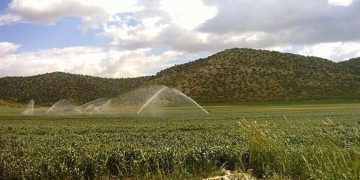 سامانه‌های نوین آبیاری مرهمی برای تنش آبی