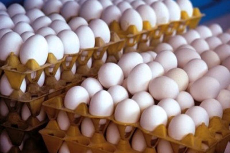 قیمت هر کیلو تخم مرغ در وانتهای سطح شهر به ۱۳۰ هزار تومان رسید