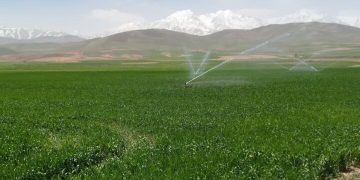 وزارت نیرو سهم آب بخش کشاورزی برای سال جدید را اعلام کند