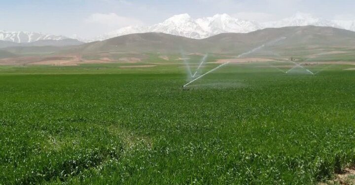 وزارت نیرو سهم آب بخش کشاورزی برای سال جدید را اعلام کند