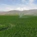 وزارت نیرو سهم آب بخش کشاورزی برای سال جدید را اعلام کند