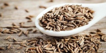 رئیس جهاد کشاورزی استان : زیره سبز، محور توسعه کشاورزی کم آب در خراسان جنوبی است