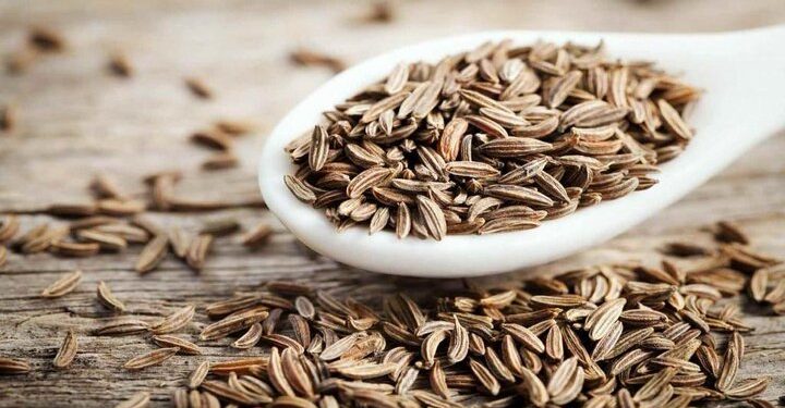 رئیس جهاد کشاورزی استان : زیره سبز، محور توسعه کشاورزی کم آب در خراسان جنوبی است