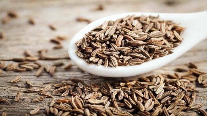 رئیس جهاد کشاورزی استان : زیره سبز، محور توسعه کشاورزی کم آب در خراسان جنوبی است