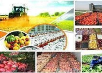 ۸.۷ همت سرمایه گذاری در صنایع تبدیلی و تکمیلی بخش کشاورزی به بهره برداری رسید