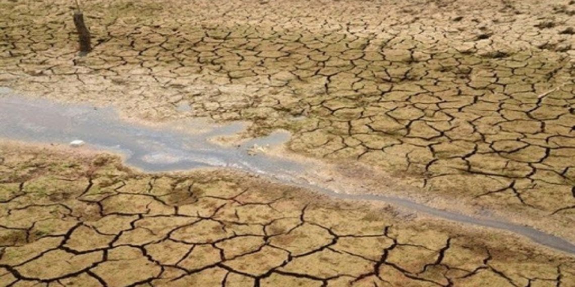 مقابله با بیابان زایی از مسیر حفظ و احیای مراتع می گذرد