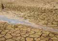 مقابله با بیابان زایی از مسیر حفظ و احیای مراتع می گذرد