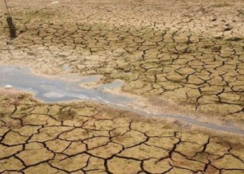 مقابله با بیابان زایی از مسیر حفظ و احیای مراتع می گذرد