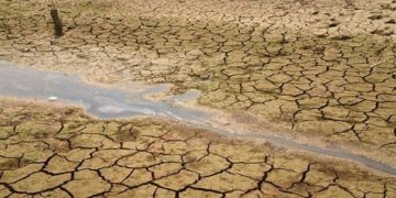 مقابله با بیابان زایی از مسیر حفظ و احیای مراتع می گذرد