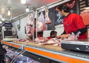 ۴۵ درصد گوشت قرمز از دام سبک تامین می شود/قیمت هر کیلو دام زنده ۷۴۰ هزار تومان