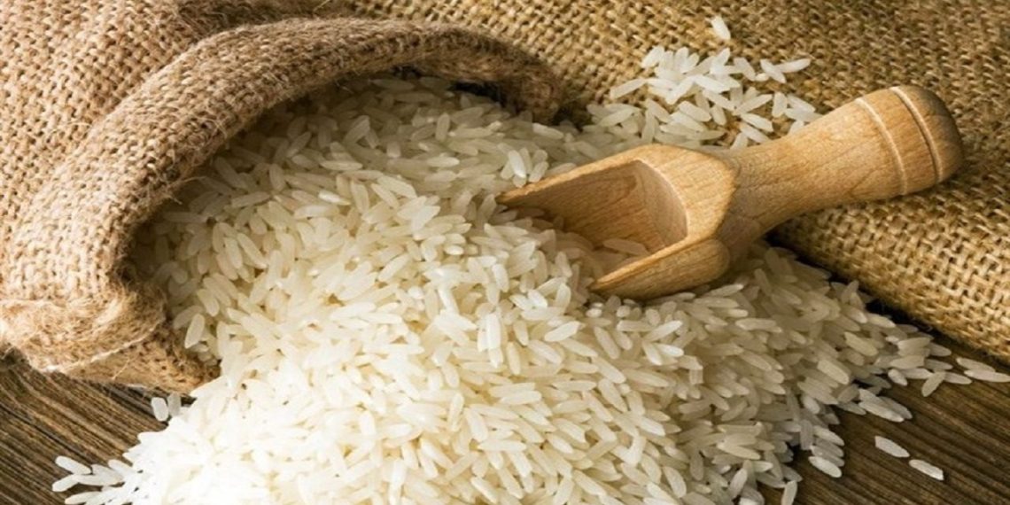 تولید برنج ۱۰ درصد افزایش مییابد