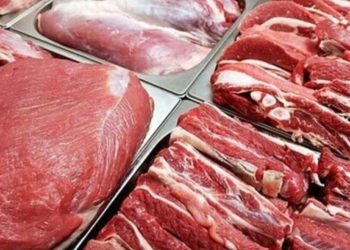 قیمت هر کیلو دام زنده به ۷۴۰ هزار تومان رسید