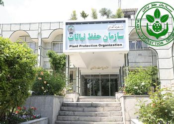شبکه‌های پایش نباتات در جنگ تحمیلی رمضان تقویت شد