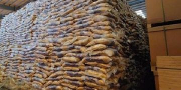 بدهی یک میلیارد یورویی دولت به واردکنندگان برنج