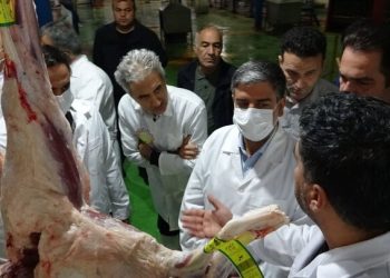 بیش از ۶۴ هزار راس دام زنده زیر نظر سازمان دامپزشکی ذبح شد