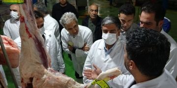 بیش از ۶۴ هزار راس دام زنده زیر نظر سازمان دامپزشکی ذبح شد