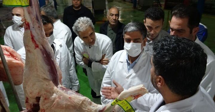 بیش از ۶۴ هزار راس دام زنده زیر نظر سازمان دامپزشکی ذبح شد