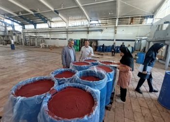 توقف فعالیت یک کارخانه تولید رب گوجه‌فرنگی در کهنوج به‌دلیل مسائل بهداشتی