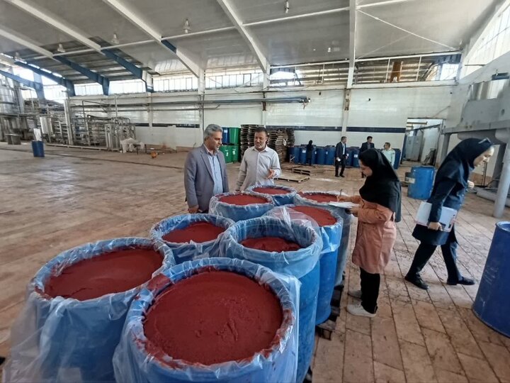 توقف فعالیت یک کارخانه تولید رب گوجهفرنگی در کهنوج بهدلیل مسائل بهداشتی