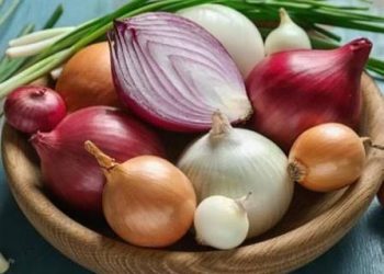 علاقه به پیاز شاید نشانه ای از سلامت بهتر باشد/ دوستداران پیاز کمتر در معرض دیابت و فشار خون بالا هستند