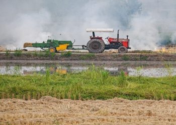صرفه جویی کمتر از یک درصدی سوخت امنیت غذایی کشور را دچار مخاطره می‌کند