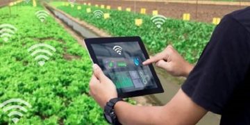 چارچوب بومی توسعه فناوری نانو کشاورزی تدوین شود
