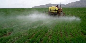 توسعه نسل جدید آفت‌کش‌های گیاهی-نانویی با قابلیت بی‌خطر بودن برای دام و انسان