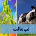 نکاتی برای پیشگیری از ابتلا به «تب‌مالت»