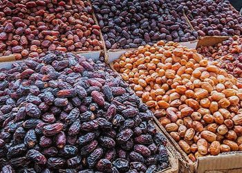 لغو ممنوعیت صادرات خرما