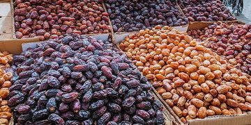 لغو ممنوعیت صادرات خرما