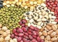محاصره دریایی در واردات حبوبات تاثیری ندارد/حبوبات به میزان مکفی در بنادر و انبار‌ها موجود است