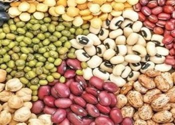 محاصره دریایی در واردات حبوبات تاثیری ندارد/حبوبات به میزان مکفی در بنادر و انبار‌ها موجود است