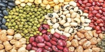 محاصره دریایی در واردات حبوبات تاثیری ندارد/حبوبات به میزان مکفی در بنادر و انبارها موجود است