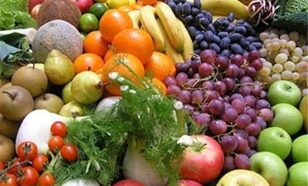 سرمایه‌گذاری مشترک ایران و قزاقستان در حوزه کشاورزی