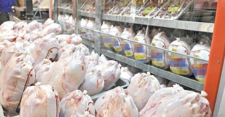 انجماد و ذخیرهسازی روزانه ۱۸ تن مرغ در همدان