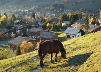 خشکسالی به کشاورزان سوئیس رسید