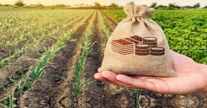 کارت اعتباری گندم به کمک نقدینگی کشاورزان می‌آید