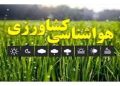کشاورزان و گلخانه داران هشدار وزش باد را جدی بگیرند