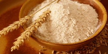ثبت سفارش واردات گندم در حال انجام است/ دستورالعمل واردات گندم برای صنف و صنعت صادر شده است
