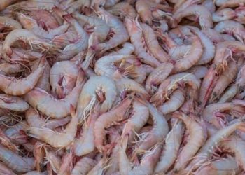 تجارت ۲ میلیارد دلاری کشاورزی ایران و روسیه