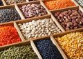 ثبت سفارش واردات انواع حبوبات به زودی آغاز میشود